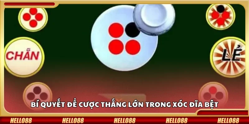 Bí quyết để cược thắng lớn trong xóc đĩa bệt