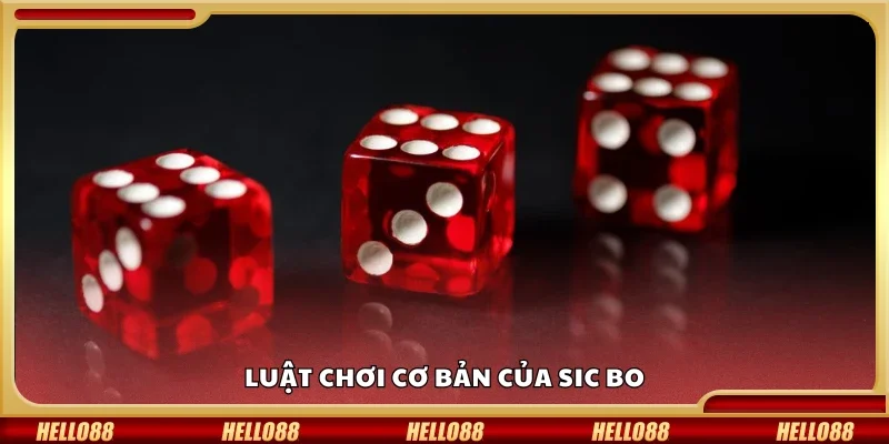 Khám phá luật chơi cơ bản của Sic Bo