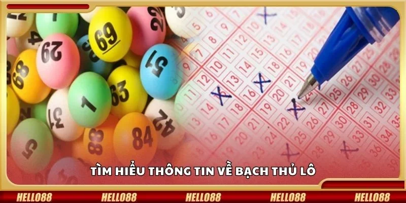 Tìm hiểu thông tin về bạch thủ lô